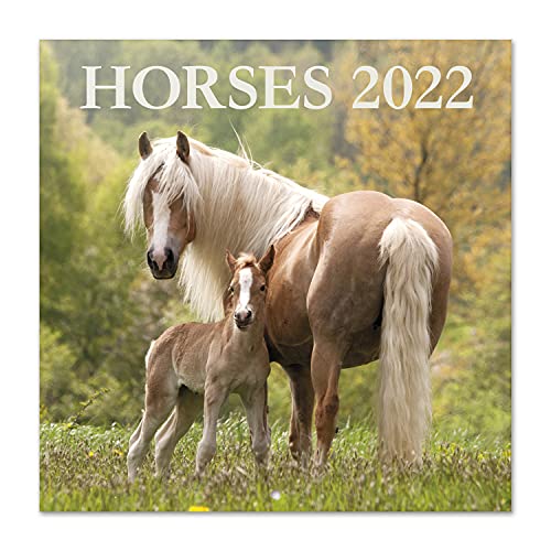 Grupo Erik Calendario caballos 2022 - Calendario 2022 pared - Calendario pared animales | Calendario mensual - Producto con licencia oficial